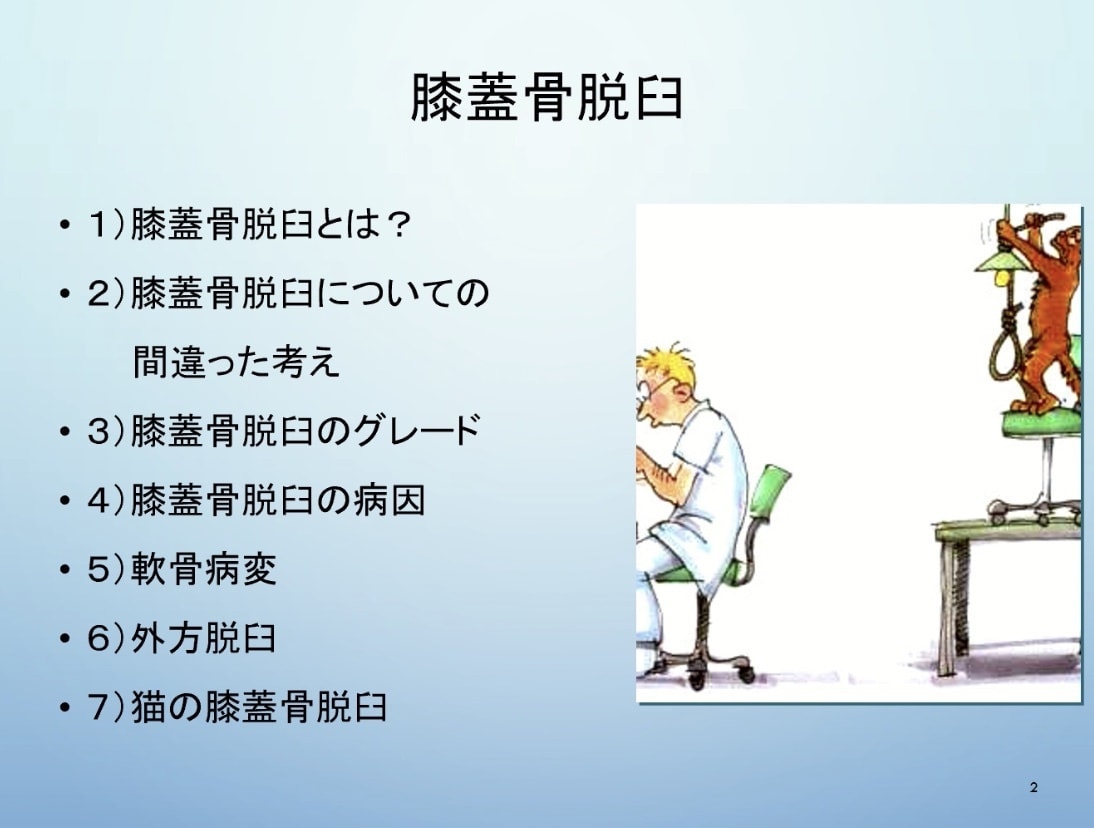 10分で分かる！膝蓋骨脱臼！パテラの全てお話します 年間の整形症例数300頭以上の動物病院に勤務！パテラのお話！ イメージ2
