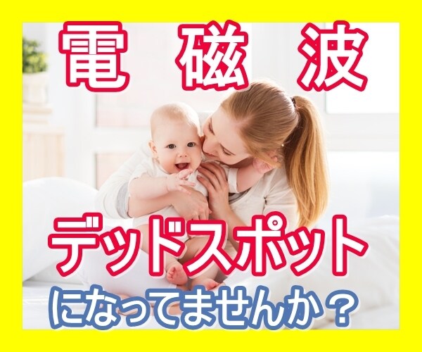 電磁波の測定の『コツ』をプロが伝授します 住まいのキケンを数値で見る！1ヶ月サポート付き イメージ1