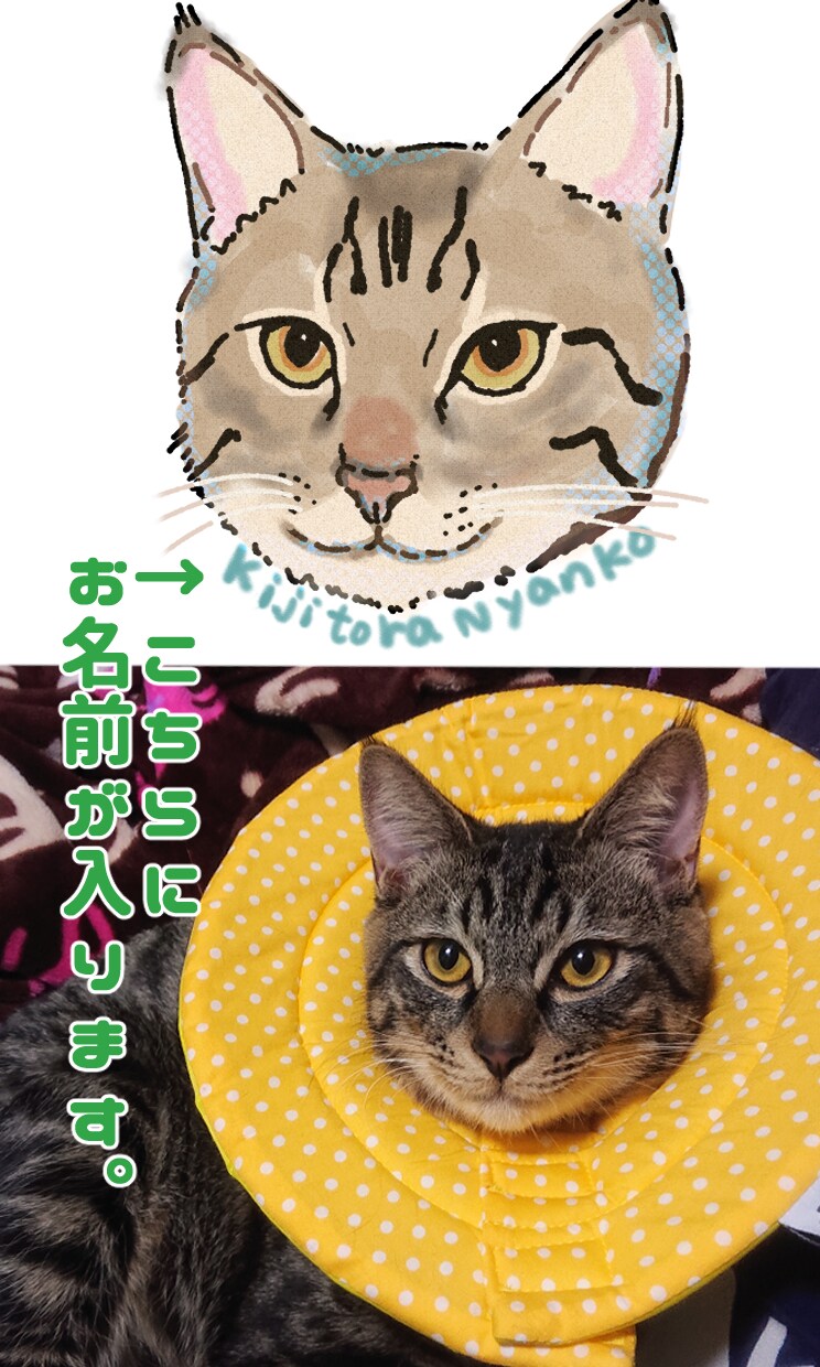商用OK!!淡い水彩タッチのペットイラスト描きます プレゼントや記念日、インテリアに犬・猫・兎・鳥等描きます！ イメージ2