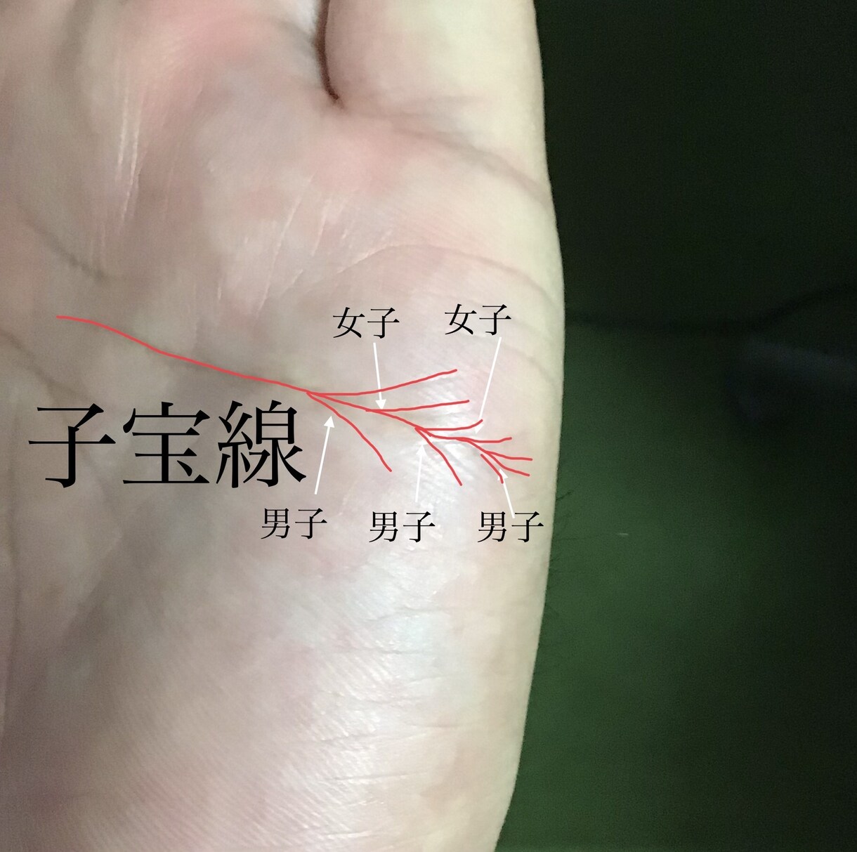 あかちゃん歓迎お子様の手相占います 手相でお子様が小さい内に秘めた才能を発見し伸ばしていきます。 イメージ2