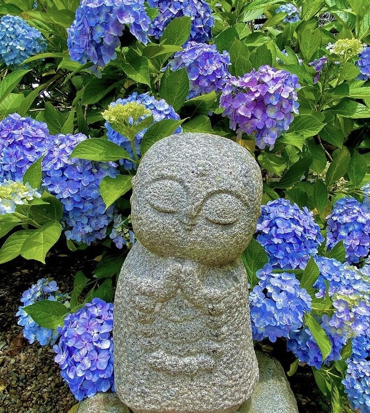 ジャンル問わず霊視致します どの様なお話も伺います。安心してご利用下さい イメージ1