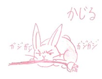 ウサギとカメのお悩み相談・回答集をお届けします 日常の様々なお悩みに。癒やし系のデジタル絵本、全106p イメージ2