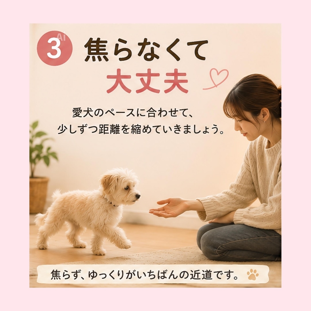 保護犬との暮らしを優しくサポートします 成犬からのお迎えも安心してご相談ください イメージ3