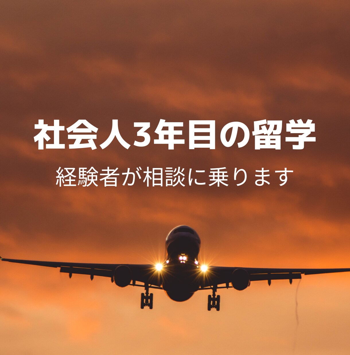 社会人3年目の留学相談に乗ります 帰国後の就職活動が不安という方へ経験者が具体的なアドバイス イメージ1