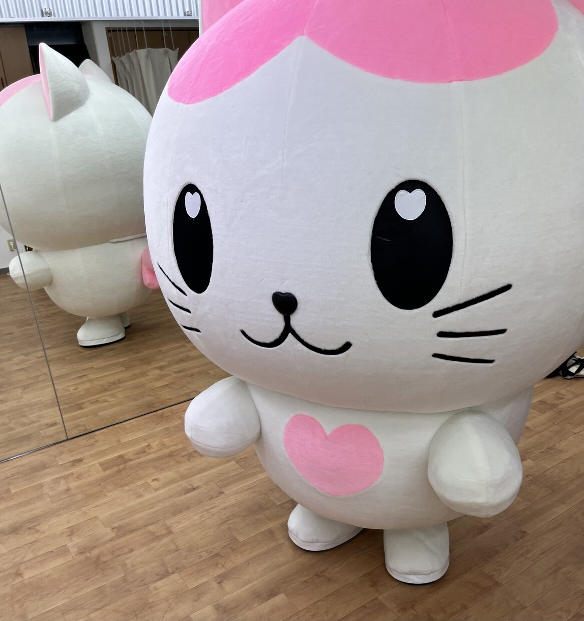 かわいいキャラの着ぐるみ体験ができます かわいいマスコットキャラの着ぐるみ体験が出来ます♪ イメージ3