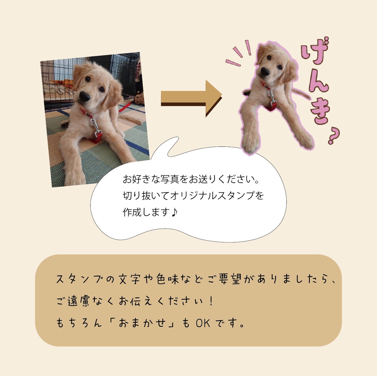 写真をかわいいLINEスタンプにします 大切なお写真をスタンプにしませんか？ イメージ2