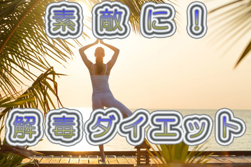 リライト、コピぺ用「解毒ダイエット」記事提供します 解毒ダイエット関連記事です。ブログ更新、サイト作成にどうぞ！ イメージ1