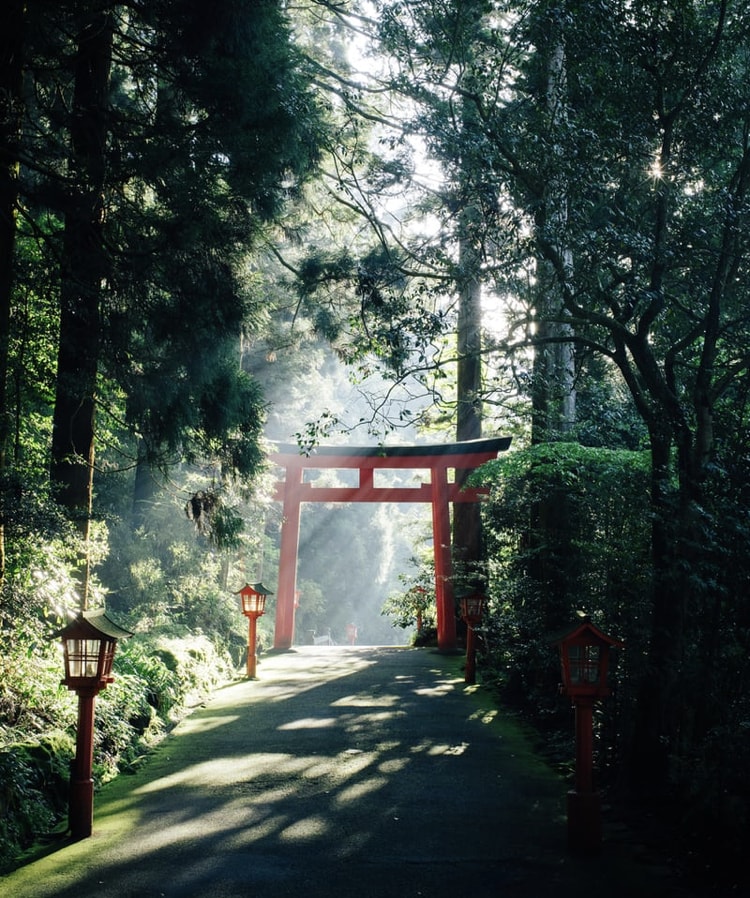 恋愛成就:お相手の心がどこに向かってるか霊視します 片想い、復縁、不倫でお困りの方鑑定します イメージ2