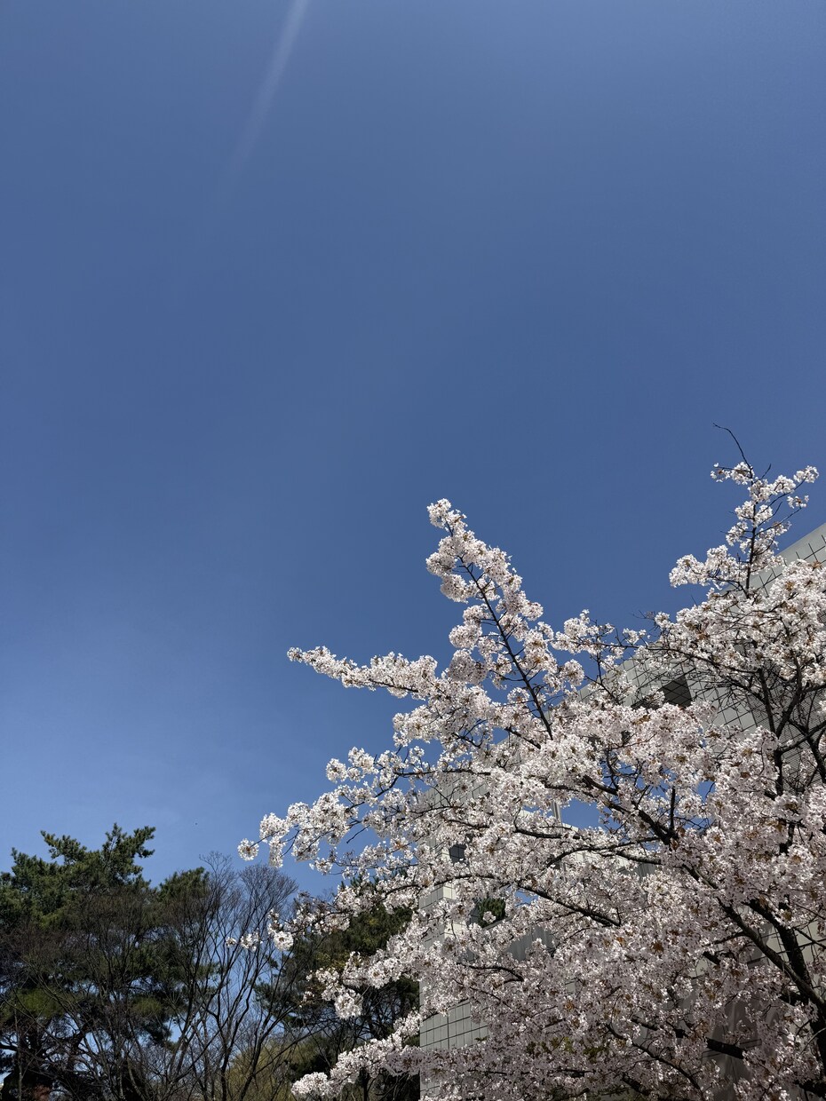 リピートのご依頼者様限定価格で承ります ⭐︎どの様なお悩みも深く拝見します。 イメージ1