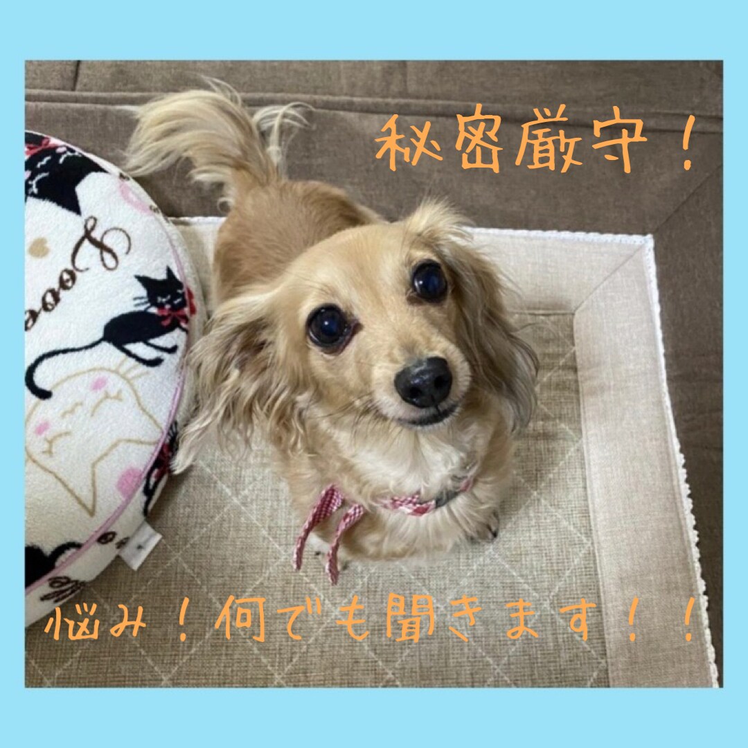 安心！1時間チャットし放題！悩み何でもお聞きします 人間関係(職場・学校・家族)・恋愛・結婚　等 イメージ1