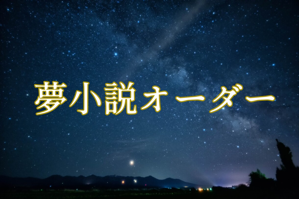 お相手様との大切なひと時を言葉にします 夢小説3L◎一文字0.7円裏、おまけ、お急ぎ便有 イメージ1