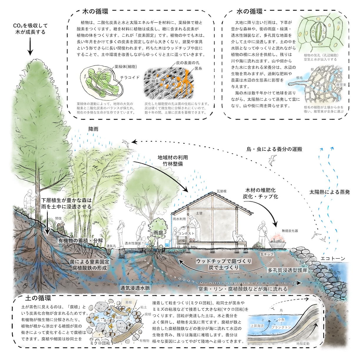 ご活動のコンセプトを表現した絵を描きます 環境へのご配慮や生態系との関わりなどを、わかりやすく描きます イメージ4