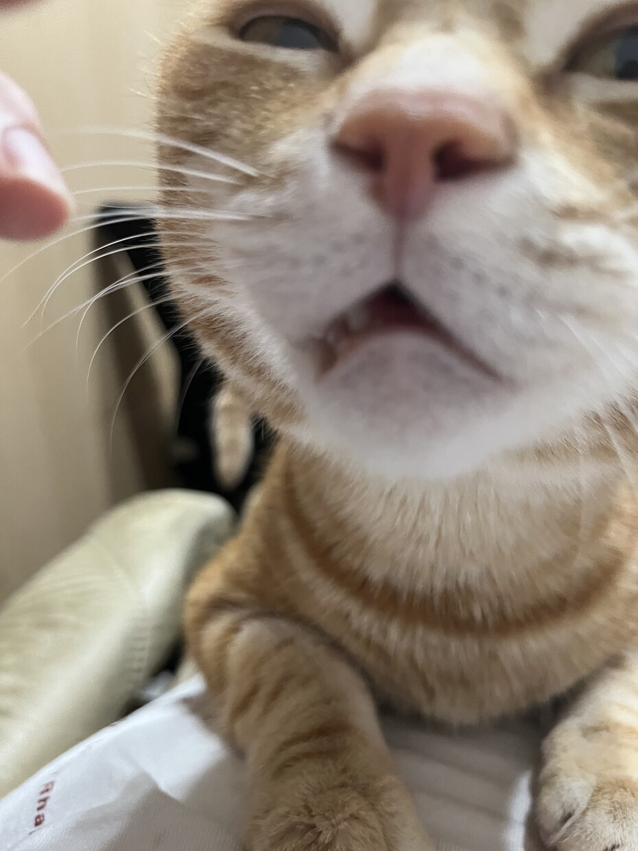 年は取ってみるもんだな。その心境をお伝えします 死にたいを含めて50年近くどうにかやってきてたどり着いた境地 イメージ2