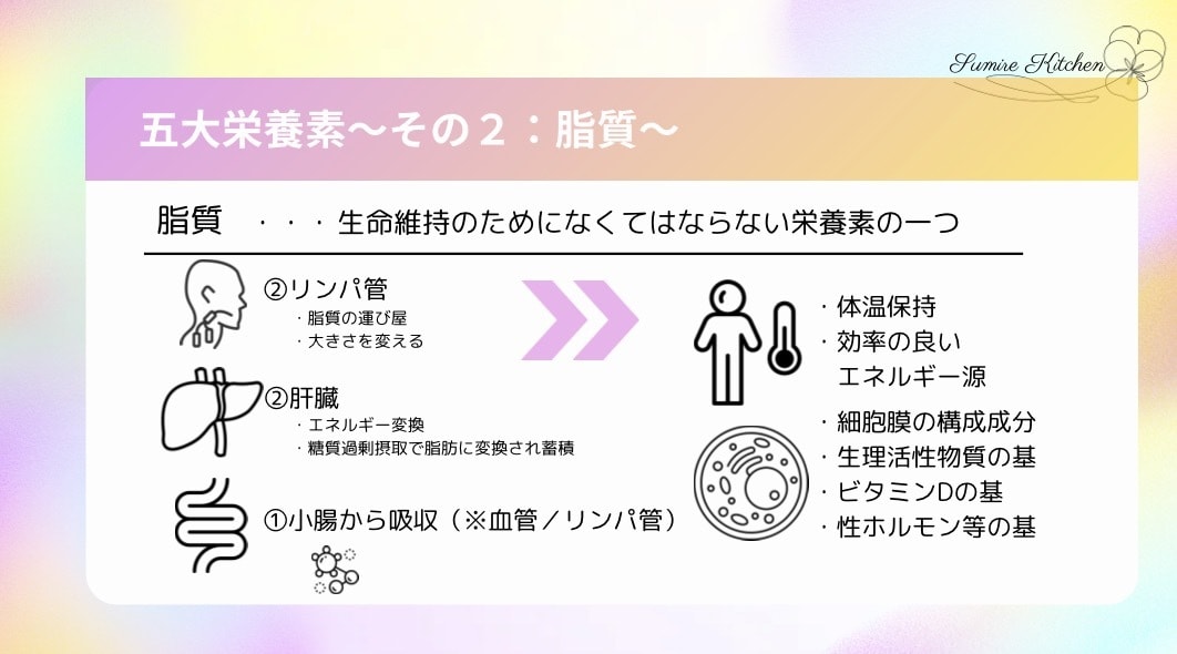 子育てに役立つ栄養学の基礎知識を提供します 元気で賢い子に育てたいなら知っておきたい【脂質】の基本 イメージ4