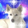 スピリチュアルで恋愛相談致します 【簡単版】悩み、不安、全てをお聞き致します。 イメージ1
