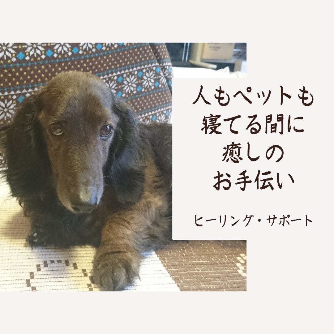 人もペットもストレスMax！寝てる間に送ります ヒーリングサポートで癒し、感じた事をアドバイスします。 イメージ2