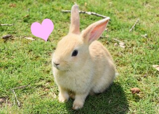 子連れ再婚のお悩み相談のります 子連れでの再婚には色々なトラブルが出て来ますよね！ イメージ1