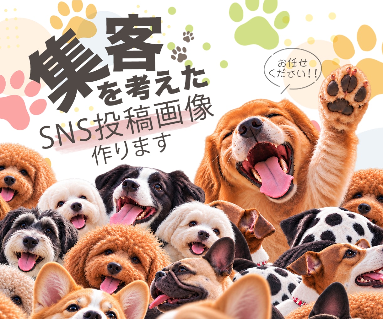 ペット専門！インスタ・SNS投稿画像制作します 動物病院やペットショップの集客に！目を惹くデザイン イメージ1