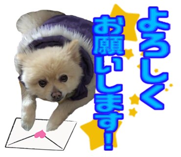 あなたの大切な写真でLINEスタンプ作ります 家族・友人・仲間・ペット・ご自身、何でもござれ!! イメージ3