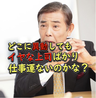 選ばれた魂のための天職鑑定｜覚醒ヒーリングします 《プロの四柱推命鑑定》×《数霊REIWA》で眠る才能を開花 イメージ3