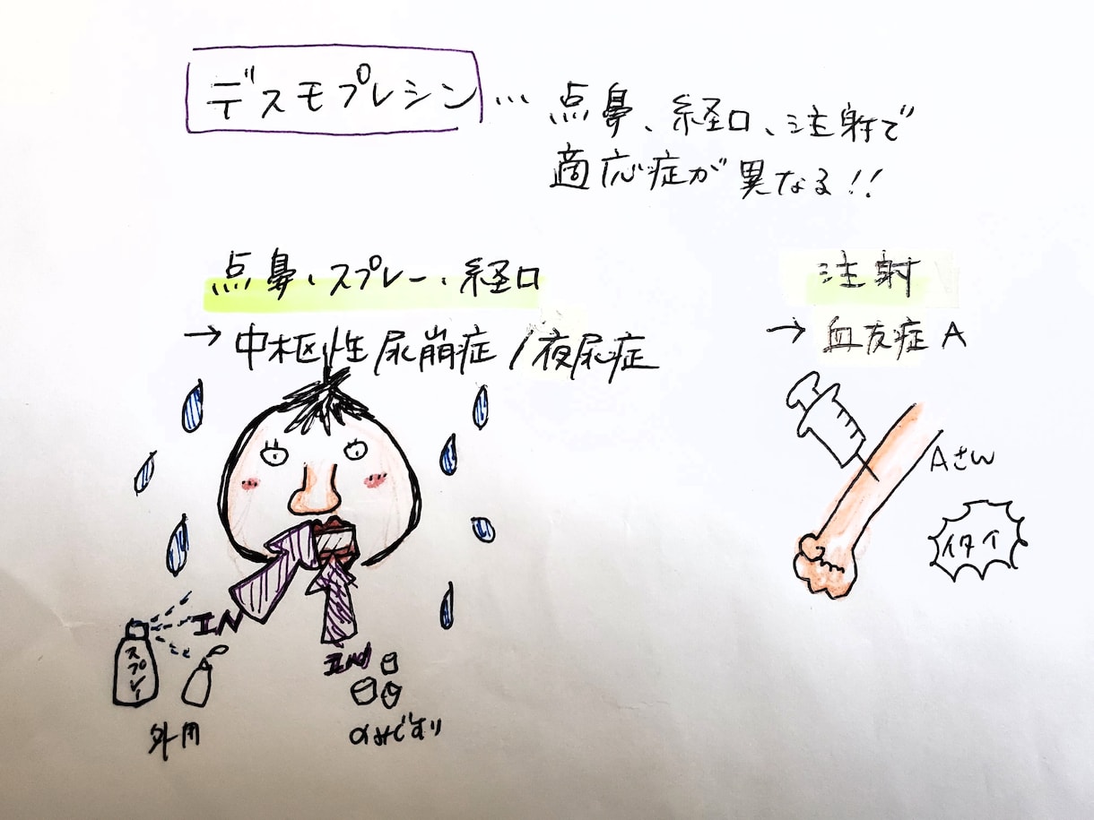 薬剤師国家試験対策！記憶に定着させます 何度やっても覚えられないこと、語呂合わせやイラストにします！ イメージ2