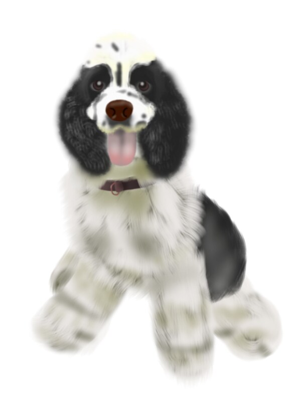 愛するウチのコのイラストを描かせて頂きます 写真をもとに、リアルでありながら温かなイラストに仕上げます。 イメージ7