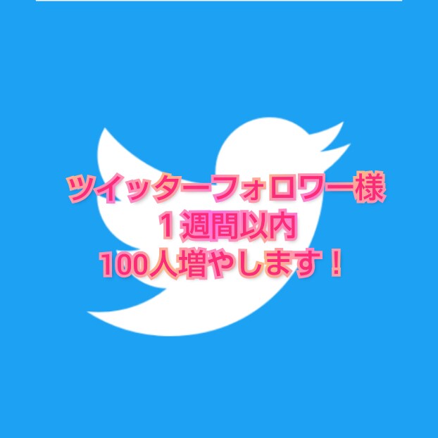 ツイッターのフォロワー様１００人増やしますます ☆実績０から２ヶ月で１万人達成☆フォロワー様を大切にします イメージ1
