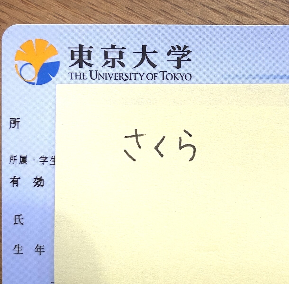 東大英語 | 現役東大・塾講師が過去問を添削します 徹底添削！「つまづき箇所」まで踏み込む記述指導 イメージ2