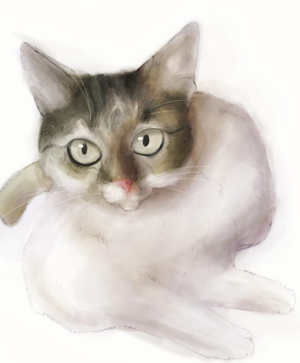 色鮮やかなイラストを描きます 鮮やかなイラストあなたのもとに… イメージ9