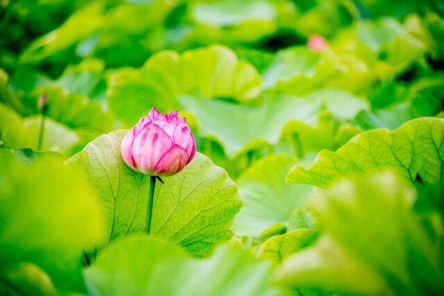 更年期の悩みお聞きします 誰にでも訪れる更年期。どうやって乗り切る？ イメージ4