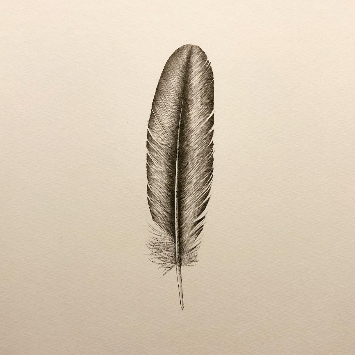 ペン画による繊細なモノクロのイラストを制作します 人、動物、植物、風景、物・・・あなたの大切を一枚の絵に。 イメージ9