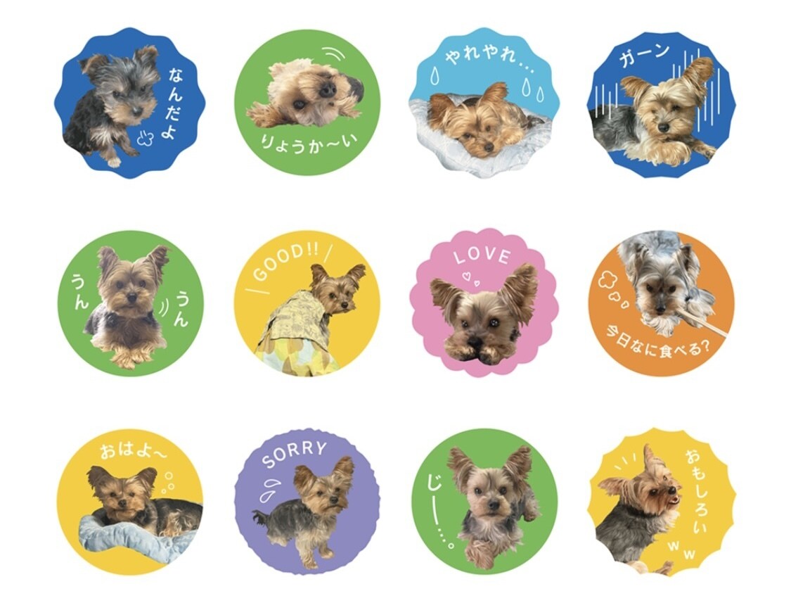 オシャレなフォトLINEスタンプ、プロが作ります 今だけ特価！現役デザイナーが作成します！ イメージ4