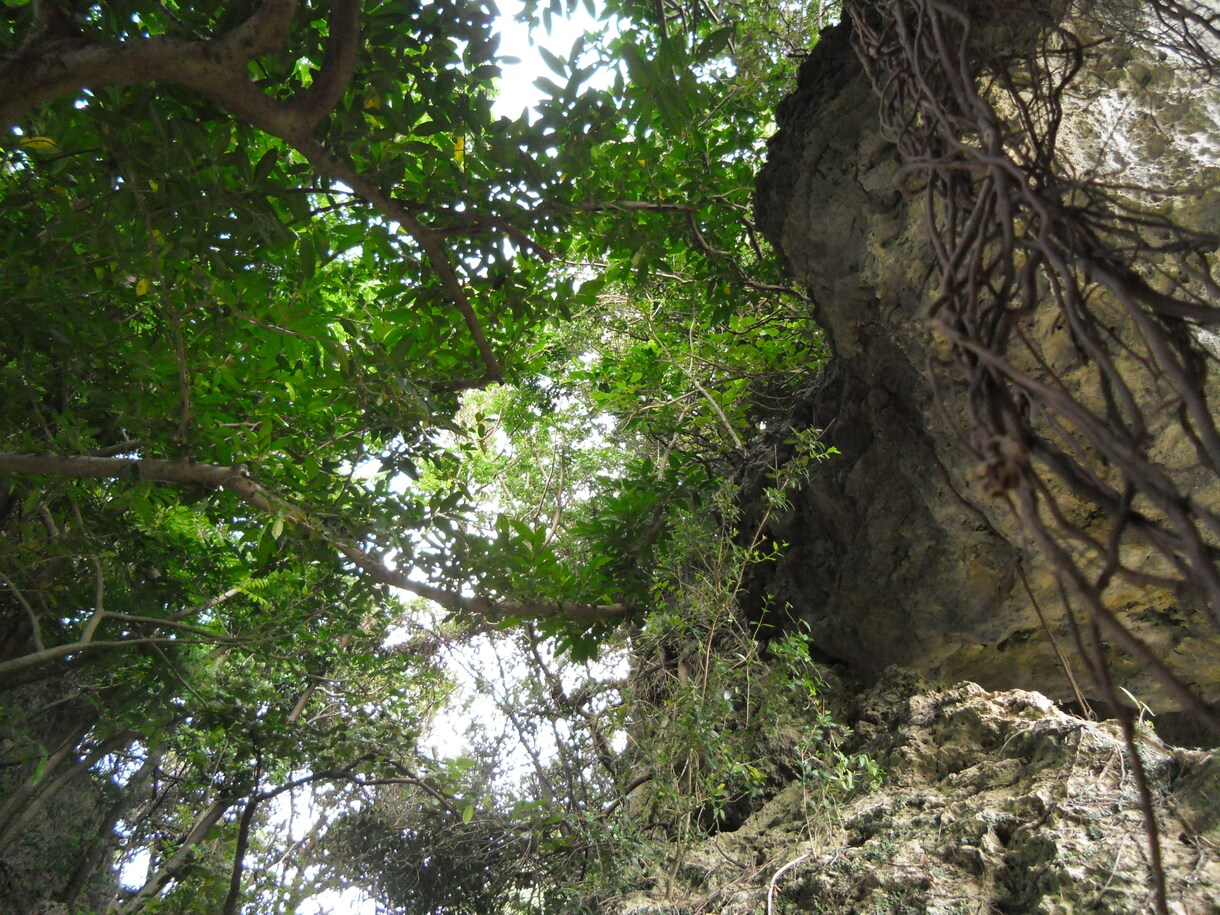 沖縄本島南部の旅行・移住など相談します 那覇からすぐ近くの知られざる「南部」教えます。 イメージ3