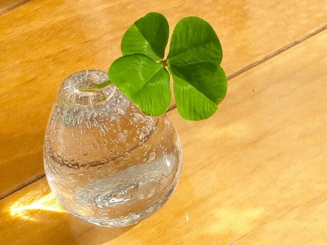 あなたのお悩みをポジティブに変換します あなたのお悩みを夢や希望に変えていきます！ イメージ1