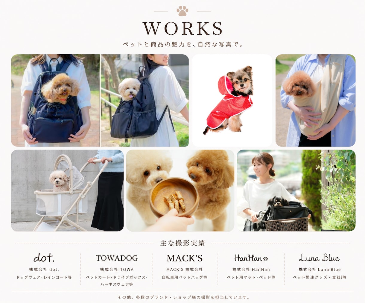 ペットモデルと商品を魅力的におしゃれに撮影します 商品に合うペットモデルを手配し、自然な写真に仕上げます。 イメージ9
