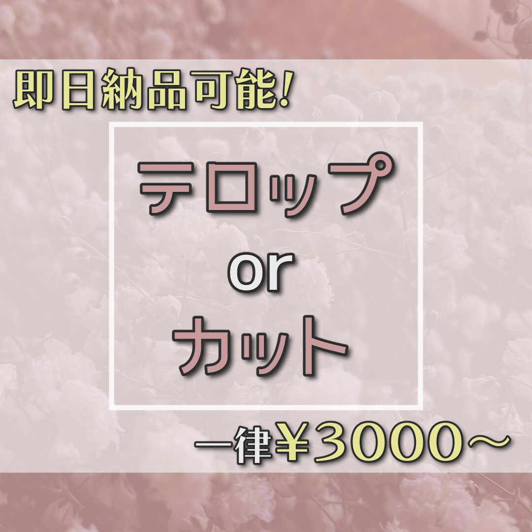 即日納品可能！カットのみorテロップのみ！承ります 単体の作業をすぐにやってほしい方向けです！ イメージ1