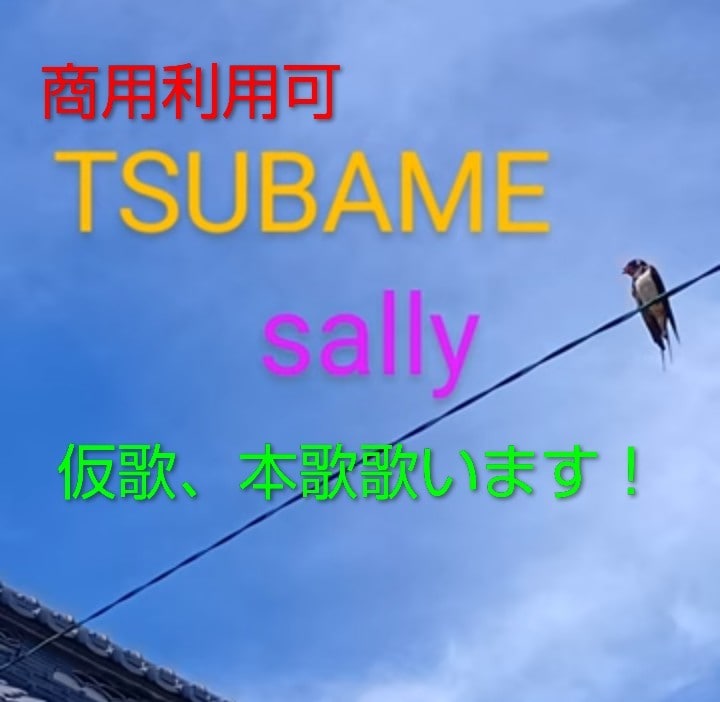 2月末まで2000円！仮歌、本歌の歌入れ承ります 商用利用◎数々のオリジナル曲配信リリース中の女性シンガーです イメージ1