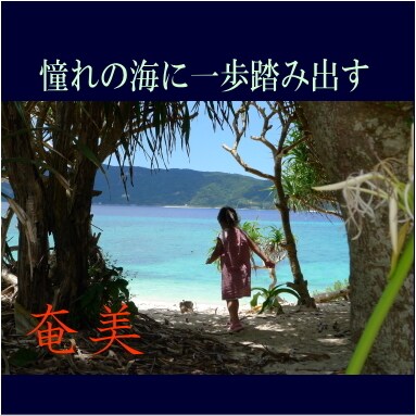 奄美大島をディープにガイドします ここが知りたい！ウェブにはない情報をお伝えします。 イメージ1
