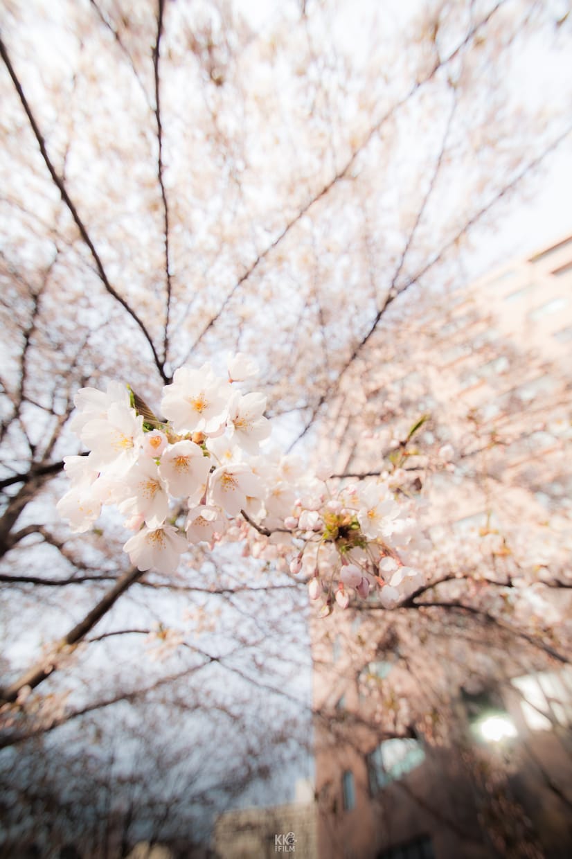 あなたの写真SNS映えするレタッチ致します あなたが撮ったお写真雰囲気良く、写真に合わせたレタッチ イメージ1