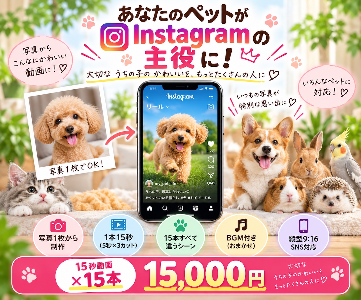 ペット写真1枚から可愛いリール動画15本作ります あなたのペットが主役！15秒のAI動画を15本制作 イメージ1