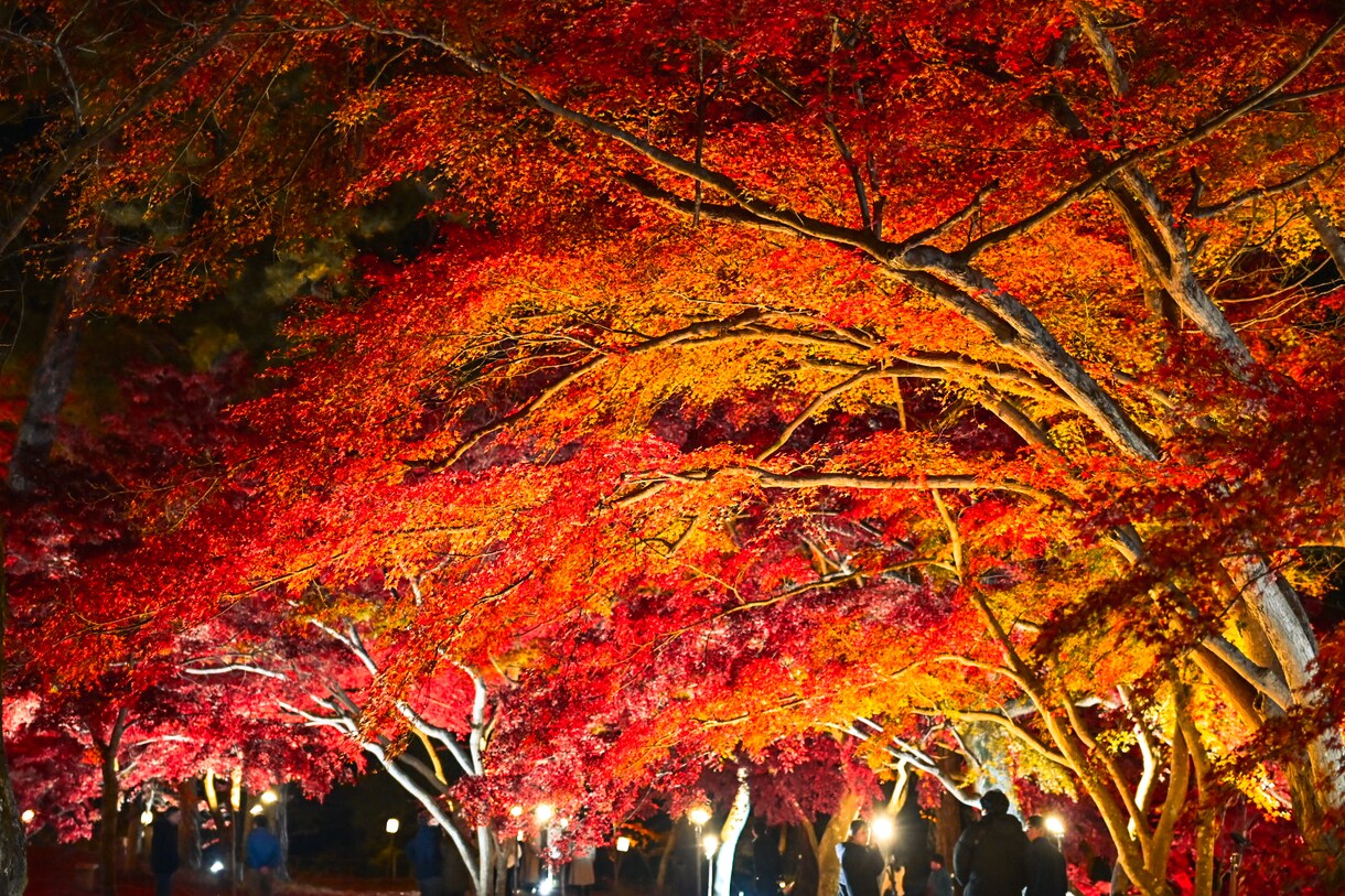 どこでも指定の場所で10カット撮影してきます!ます インスタ映えする写真を撮ります。 イメージ4