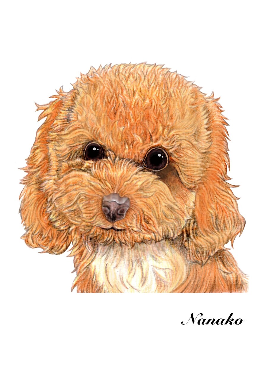 色鉛筆画★大切なペット・動物のイラストを描きます 動物を描き続けて10年以上　色鉛筆で動物の魅力を表現します！ イメージ3