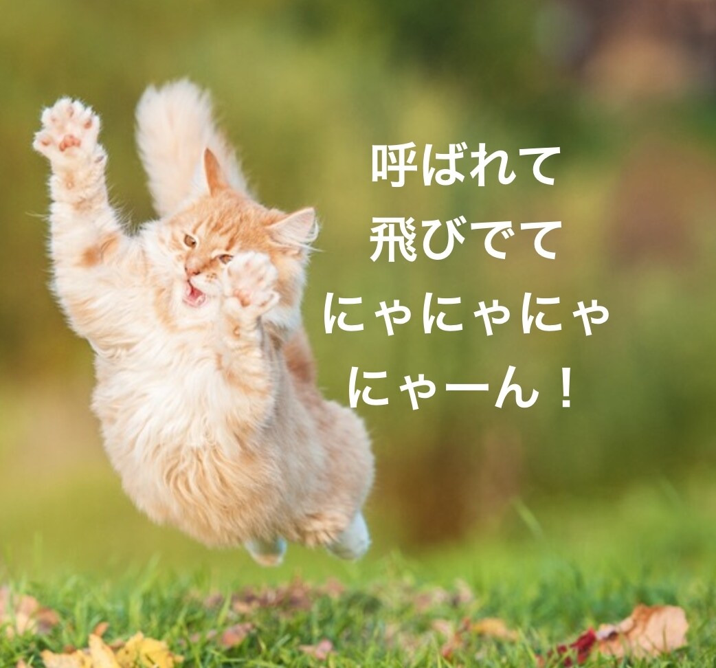 あなたの愚痴聞きます 身近の人には言えないイライラやモヤモヤ、吐き出しませんか？ イメージ1