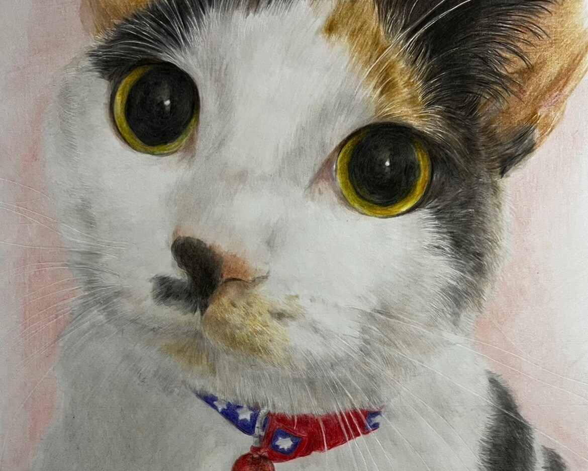 心を込めたペットの似顔絵描きます 大切な家族を色鉛筆で命を吹き込みます イメージ7
