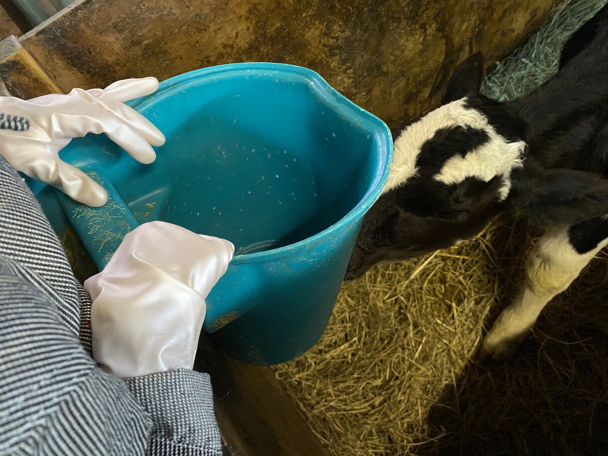 生産者目線で皆様の疑問にお答えします 毎日食べる体験をしている皆さまの食卓が豊かになりますに。 イメージ8