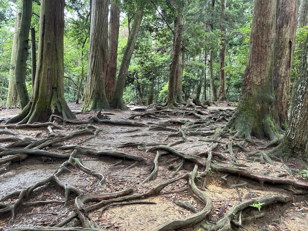あなたの迷いごと、ハイヤーセルフにお聞きします あなたの高次の存在にアドバイスをもらいます イメージ3