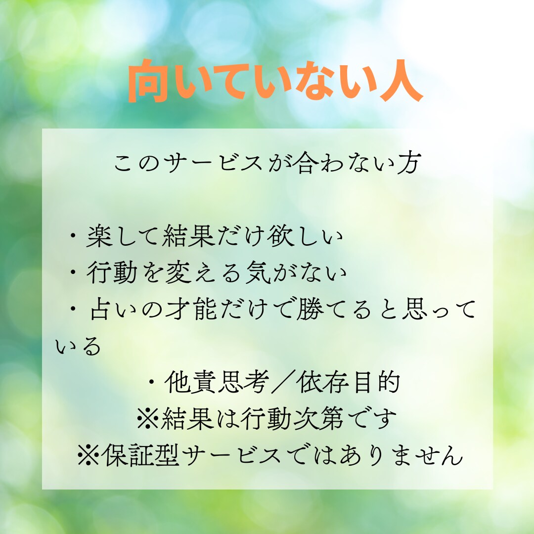 2週間でプラチナランク│実際に行った手順伝授します 電話占いサービスで実際に成果が出たココナラ実践記録PDF イメージ8