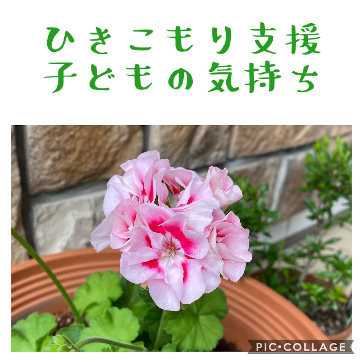 不登校・ひきこもり・子どもの暴言・相談承ります 専門資格保持者が「不登校やひきこもりの悩み」にお答えします。 イメージ7