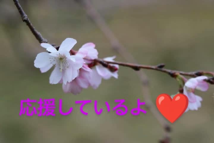 押し潰されそうな気持ち♡まるごと優しく受け止めます 繊細で変化が苦手❣️適応障害/パニック/心配性/執着/依存症 イメージ5