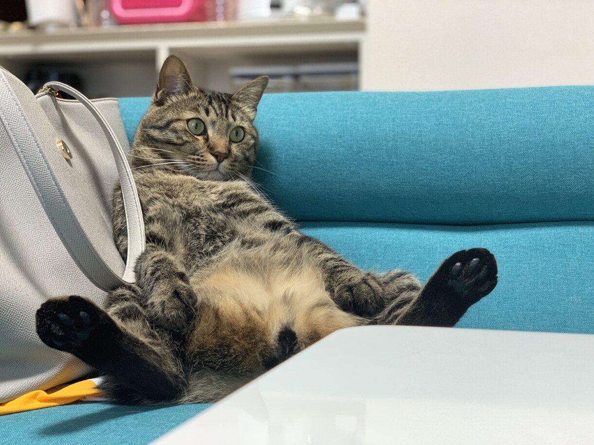 24歳の会社員があなたのカミングアウト聞きます 夢や悩み、誰にも言えない事を、言って気持ちを楽にしましょう イメージ4